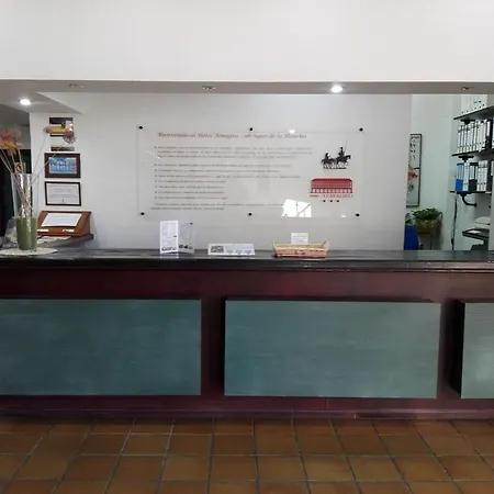 酒店 阿尔马格罗酒店 3*